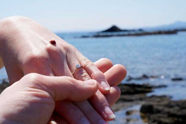 Механизм формирования