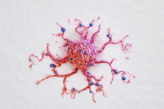 2. Лимфоциты