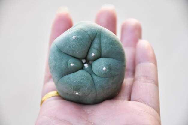 Что делать если камень в желчном пузыре 2 см