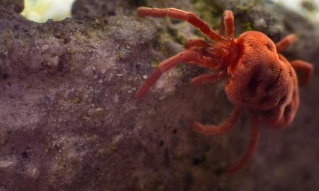 Образ жизни и медицинские условия