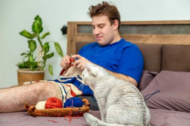 Риски и предостережения